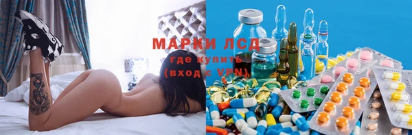 спиды Аркадак