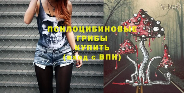 mdpv Арсеньев