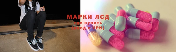 спиды Аркадак
