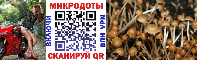 Псилоцибиновые грибы мицелий  Армянск 